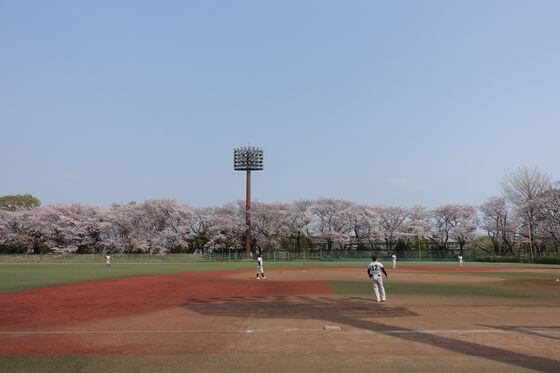志村坂上地区桜まつり