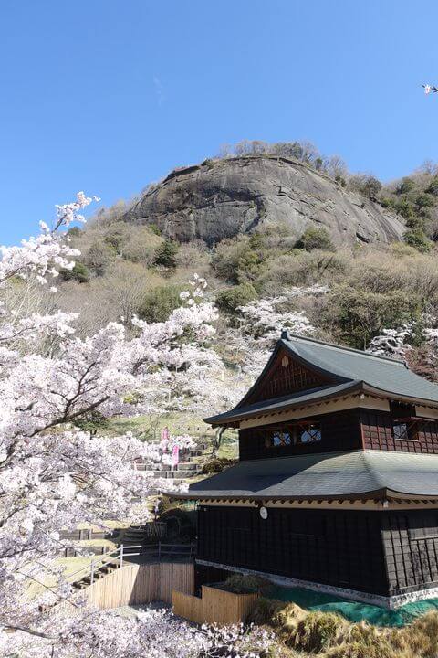 桜 岩殿山