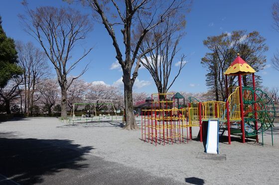 陵南公園 児童遊園 桜