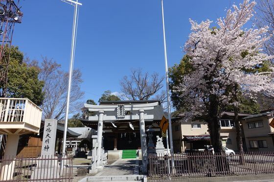 三嶋神社 猿橋 桜