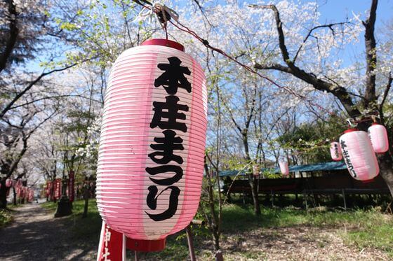 城山稲荷神社 桜 ライトアップ