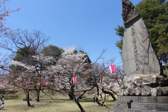 上田城 本丸跡 桜