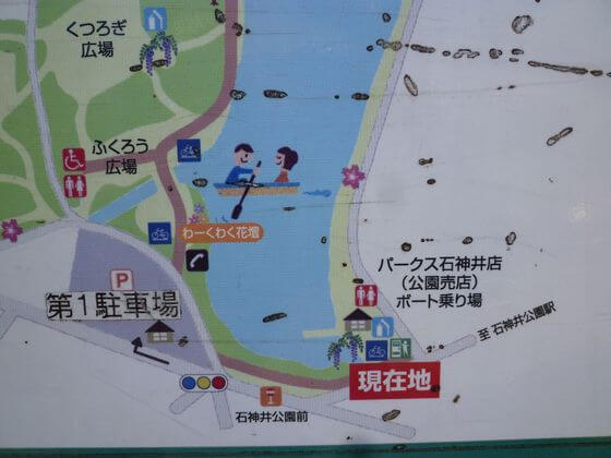 石神井公園へのアクセス方法と駐車場は 歩いてみたブログ