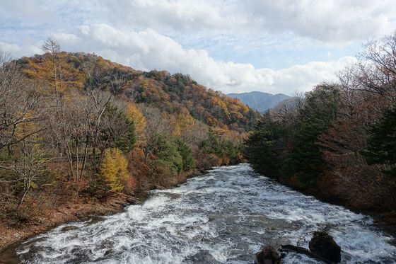 竜頭の橋 竜頭ノ滝