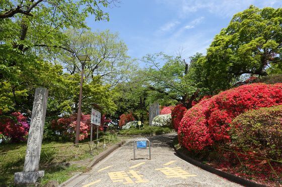 城山公園のつつじ 年の見頃と開花状況は 栃木県佐野市 歩いてみたブログ