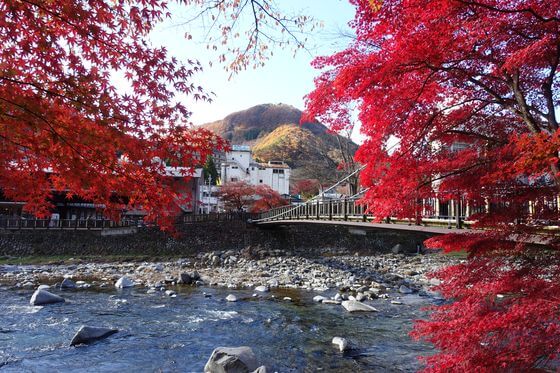 紅の吊橋の紅葉 年の見頃と現在の色づき状況は アクセス方法と駐車場は 歩いてみたブログ