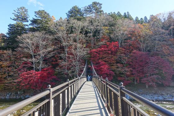 紅の吊橋の紅葉 年の見頃と現在の色づき状況は アクセス方法と駐車場は 歩いてみたブログ