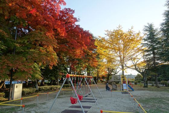 大山公園 栃木 紅葉