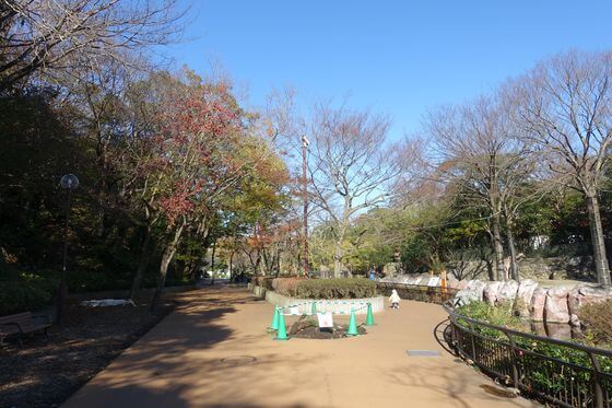 金沢動物園 秋