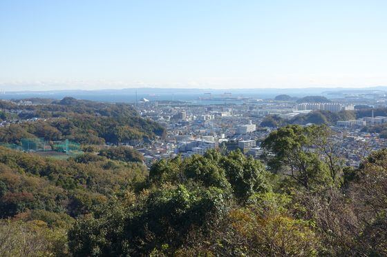 金沢自然公園 しいの木山展望台