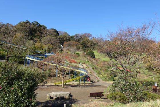 金沢自然公園の紅葉 年の見頃と現在の色づき状況は 歩いてみたブログ