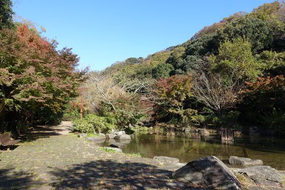 金沢自然公園 水の谷