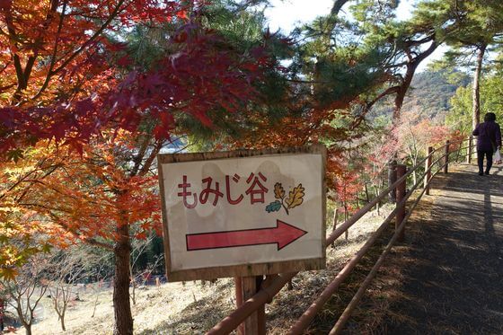 織姫公園もみじ谷 料金