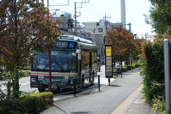 東京都薬用植物園 バス