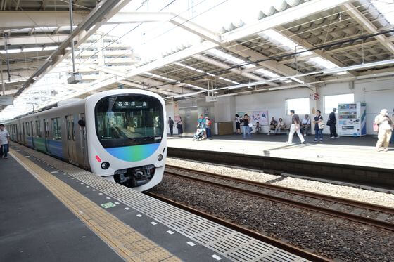 東京都薬用植物園 電車