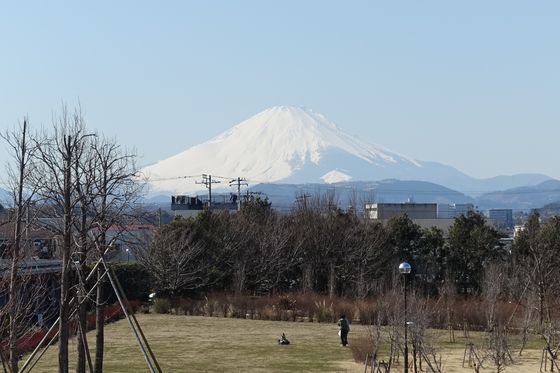 富士山 花菜ガーデン