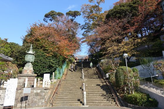 池上本門寺 此経難持坂 紅葉