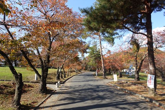 松本城山公園 紅葉