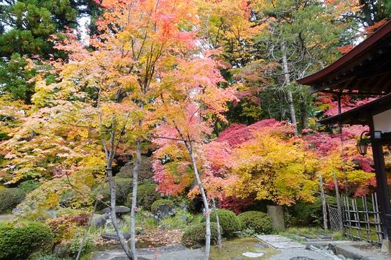 諏訪 紅葉 穴場