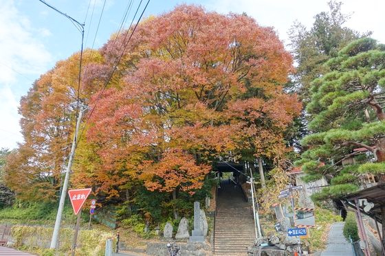 慈雲寺 諏訪 紅葉