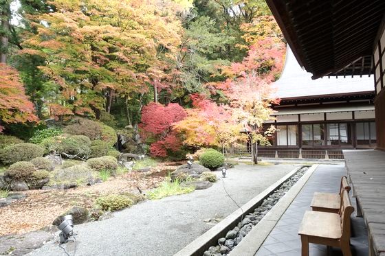 慈雲寺 池泉庭園 紅葉