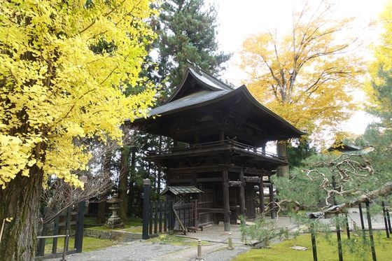 慈雲寺 諏訪 銀杏