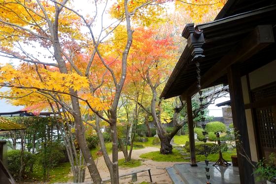 長野 慈雲寺 紅葉