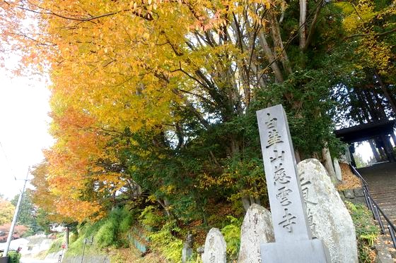 諏訪 慈雲寺 紅葉