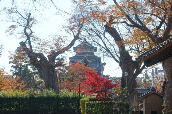 松本市 松本神社 紅葉