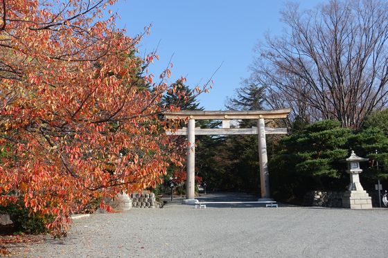 長野県護国神社 紅葉