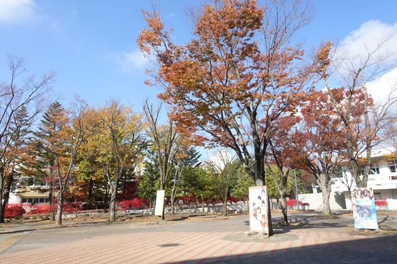 秋 信州大学 松本