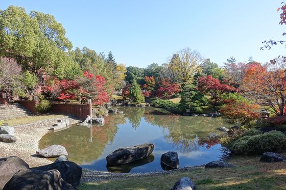 芸術の森公園 日本庭園