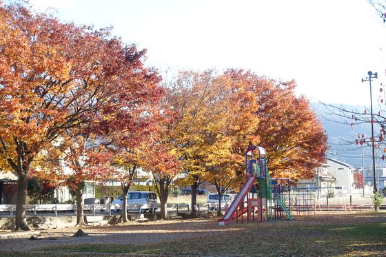 松本 沢村公園 紅葉