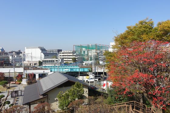 池上梅園 大田区 紅葉