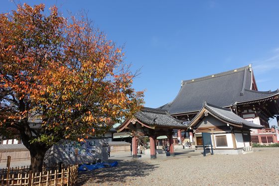 池上本門寺