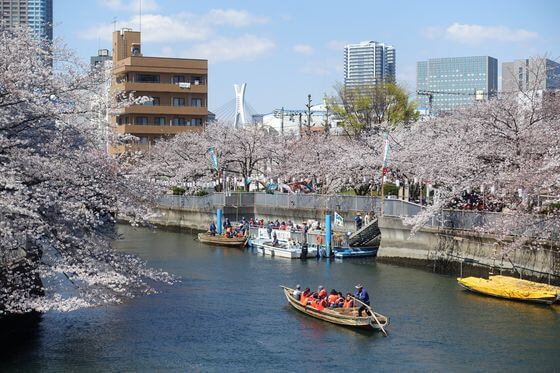 江東区の桜 22年の有名な名所から穴場までおすすめのお花見スポット１１選 歩いてみたブログ