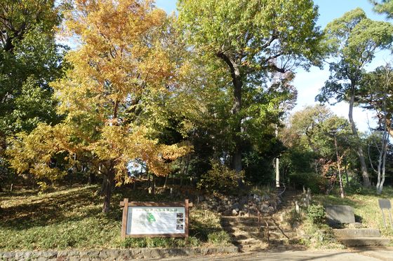 世田谷城址公園 世田谷区 紅葉