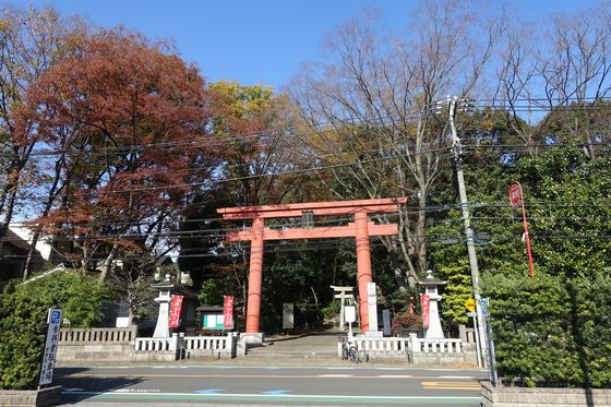 世田谷八幡宮 世田谷区 紅葉