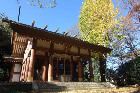 船橋神明神社 世田谷区 紅葉