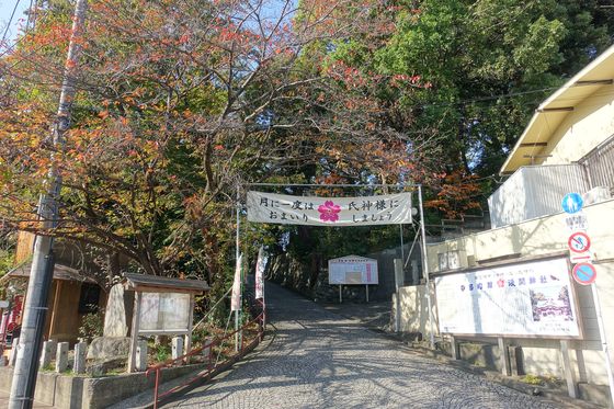 紅葉 多摩川浅間神社