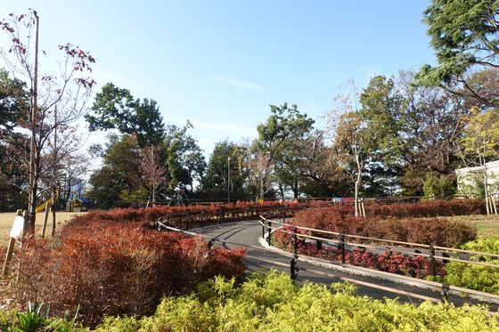 多摩川台公園 紅葉 自由広場