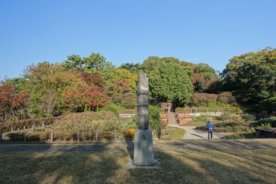 多摩川台公園 紅葉