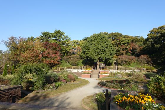 多摩川台公園 野草園 紅葉