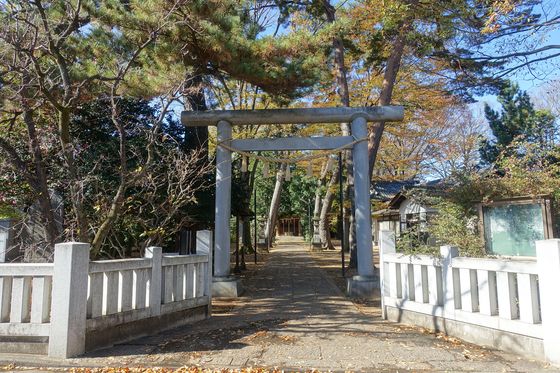 紅葉 船橋神明神社