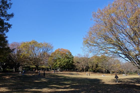 秋 祖師谷公園