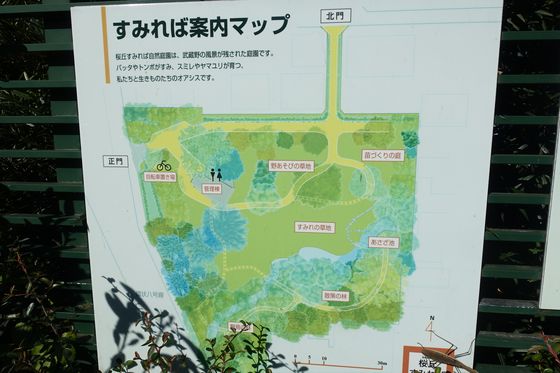 桜丘すみれば自然庭園 園内マップ