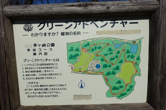 茅ヶ崎公園 グリーンアドベンチャー