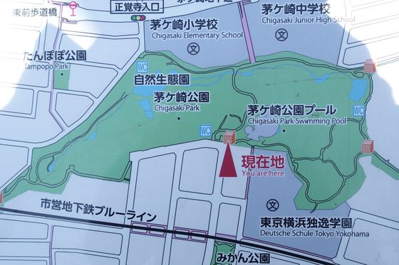 茅ヶ崎公園 園内マップ