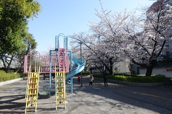 大井水神公園 桜