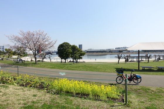 大田区 公園 菜の花